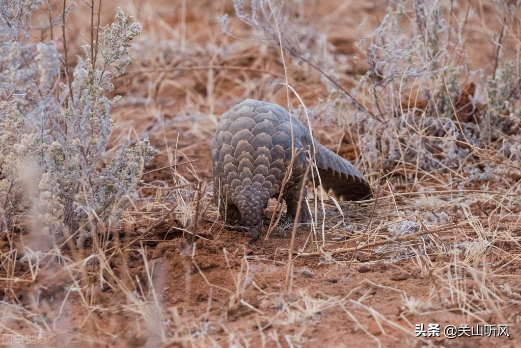坟塌是怎么理解,坟塌了是什么征兆