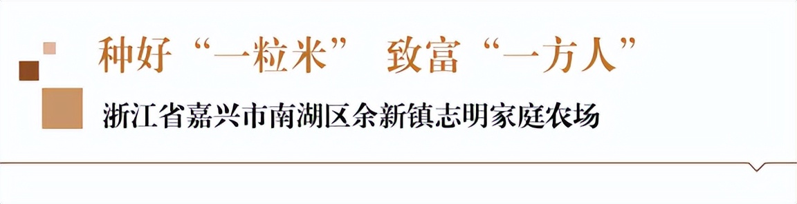 种好“一粒米”致富“一方人”——浙江省嘉兴市南湖区余新镇志明家庭农场