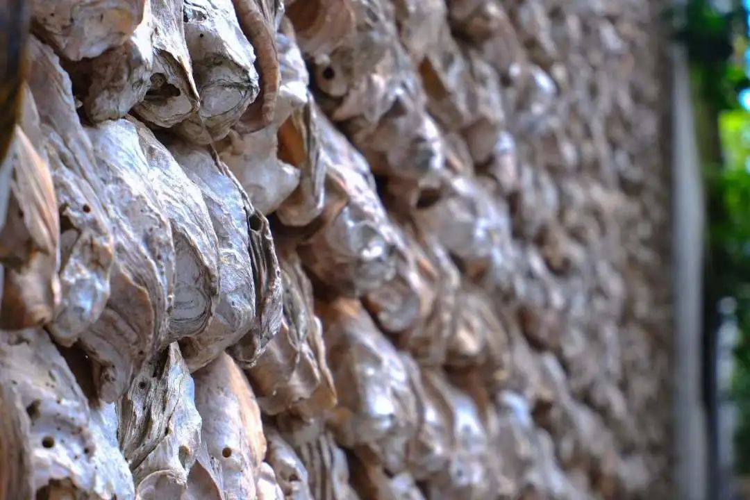 广州最值得去的古镇,适合周末打卡的广州绝美古镇