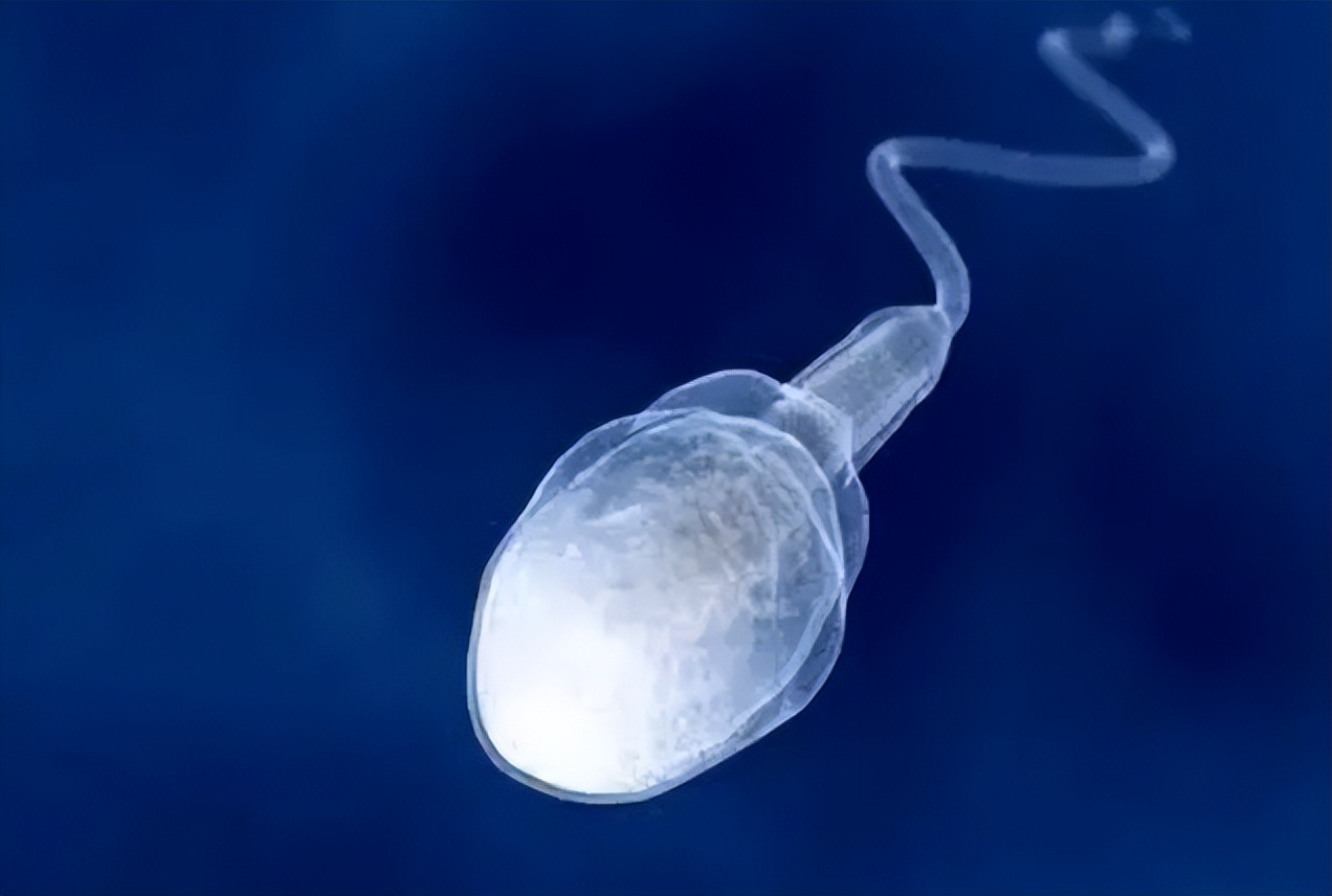 一些奇怪的过敏原,那些千奇百怪的过敏源