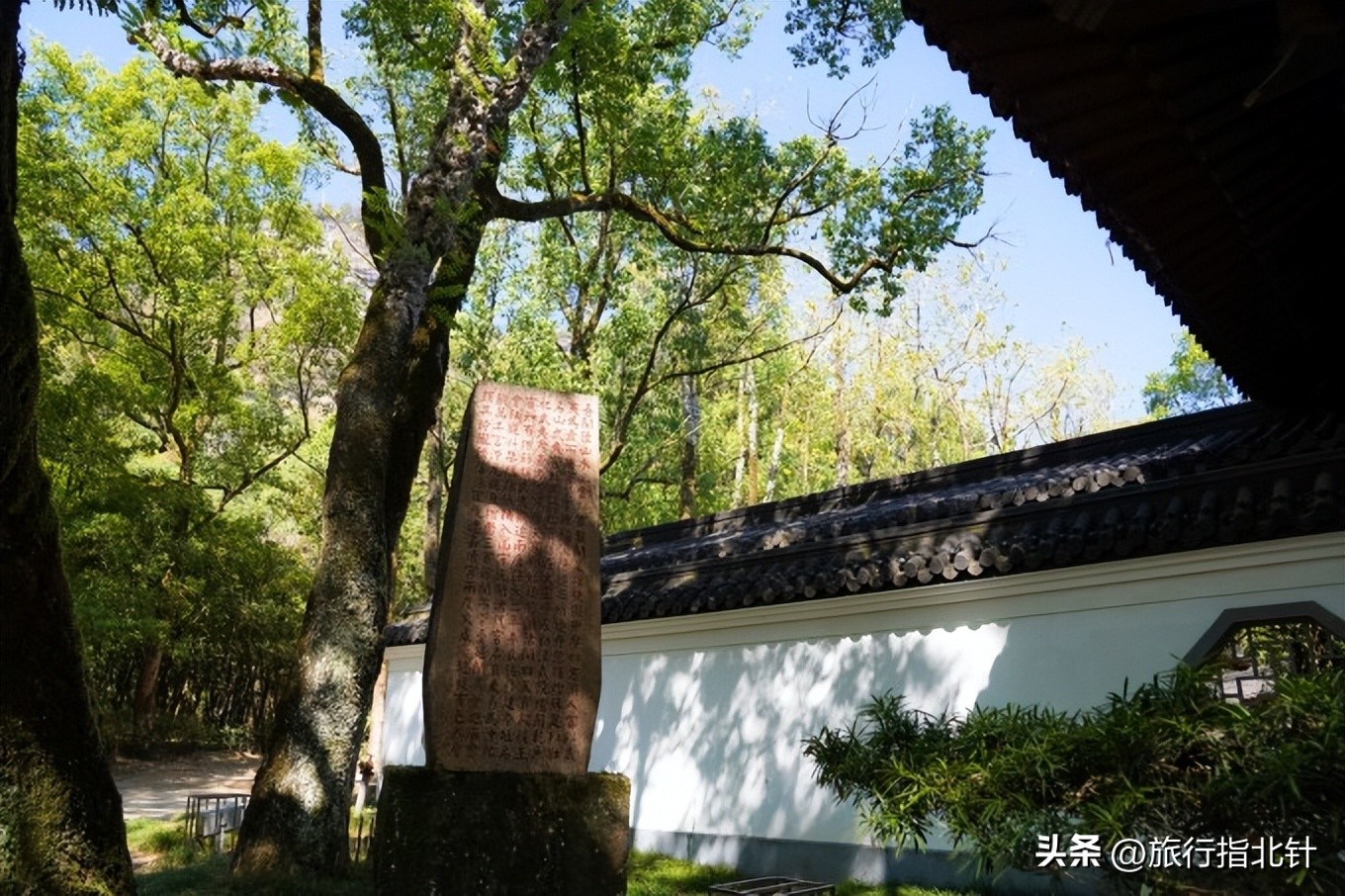 福建旅游攻略武夷山,福建武夷山旅游攻略一日游