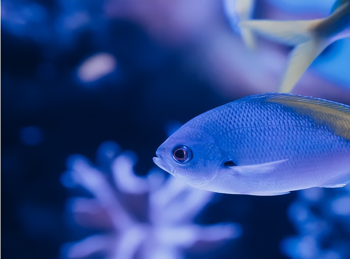 一个人独来独往,一个人不结婚会怎么样