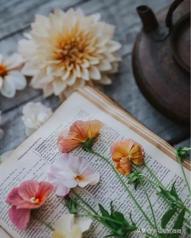 心有多静福有多深什么意思,心有多静福有多深人生感悟