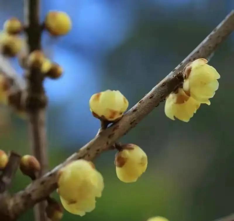 这个季节去哪里玩最合适昆明周边,昆明周边过年旅游推荐