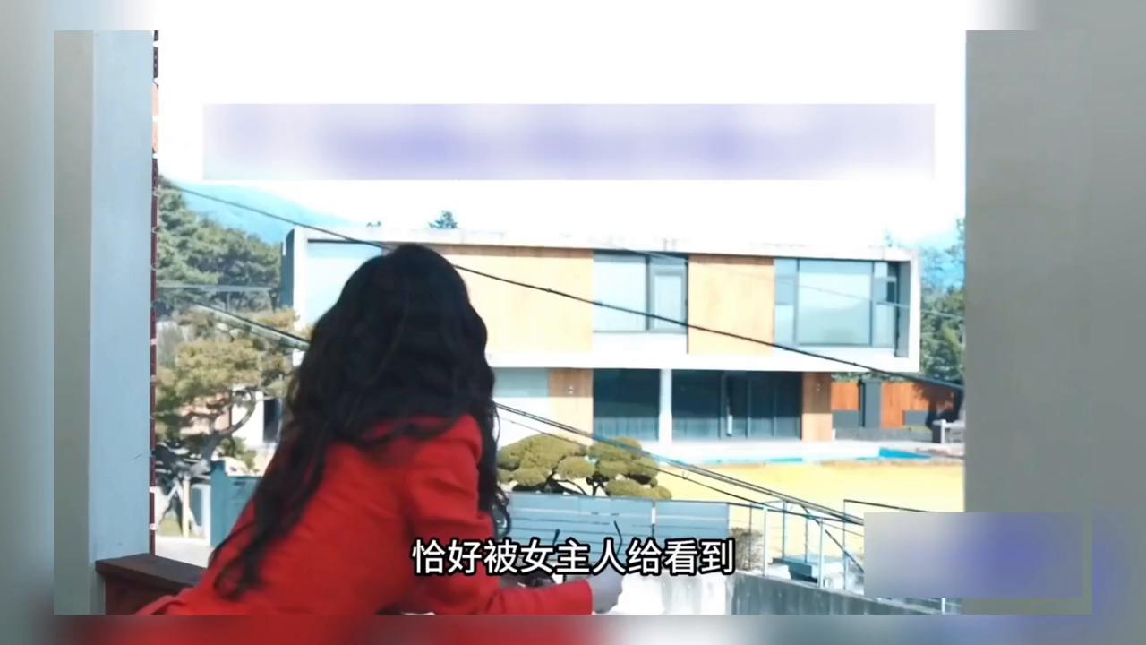 新家坡悬疑剧,越看越上头的悬疑剧推荐