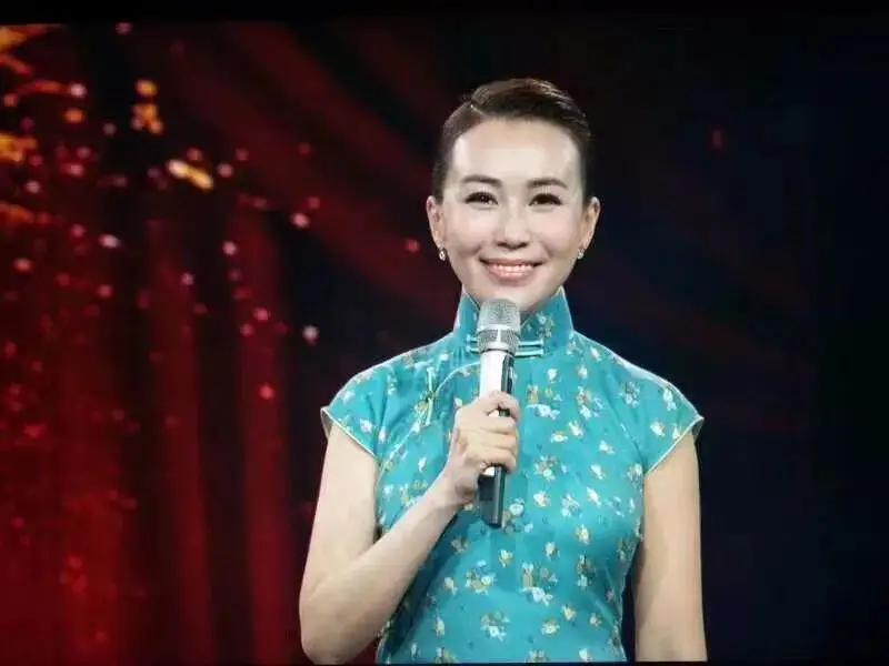 河南电视台名嘴是谁,河南电视台著名主持人排行榜