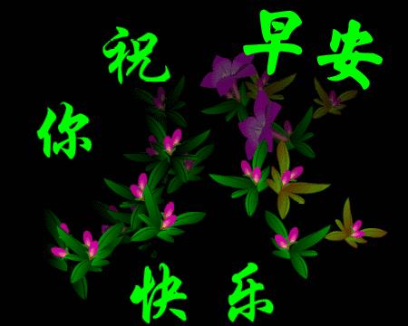 精致优美早上好的微信问候图片,微信祝福语早上好动态图片