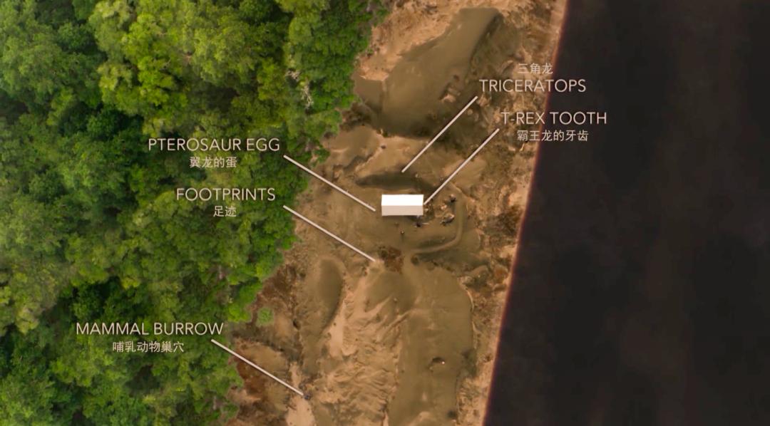 2022年十大必看大片,2022年最震撼视频