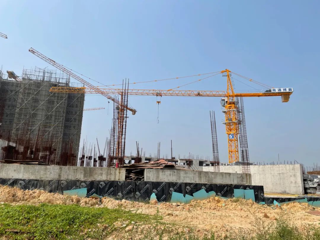 钟落潭最近活动,一夜爆火的钟落潭