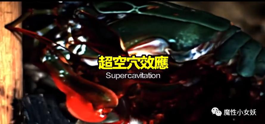 非常好吃的皮皮虾你们吃过吗,超大的皮皮虾带给大家认识一下