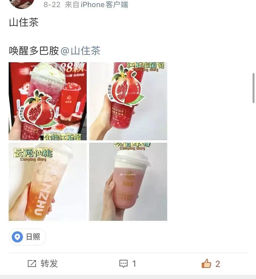 山住茶新品测评,山住茶杨梅系列测评