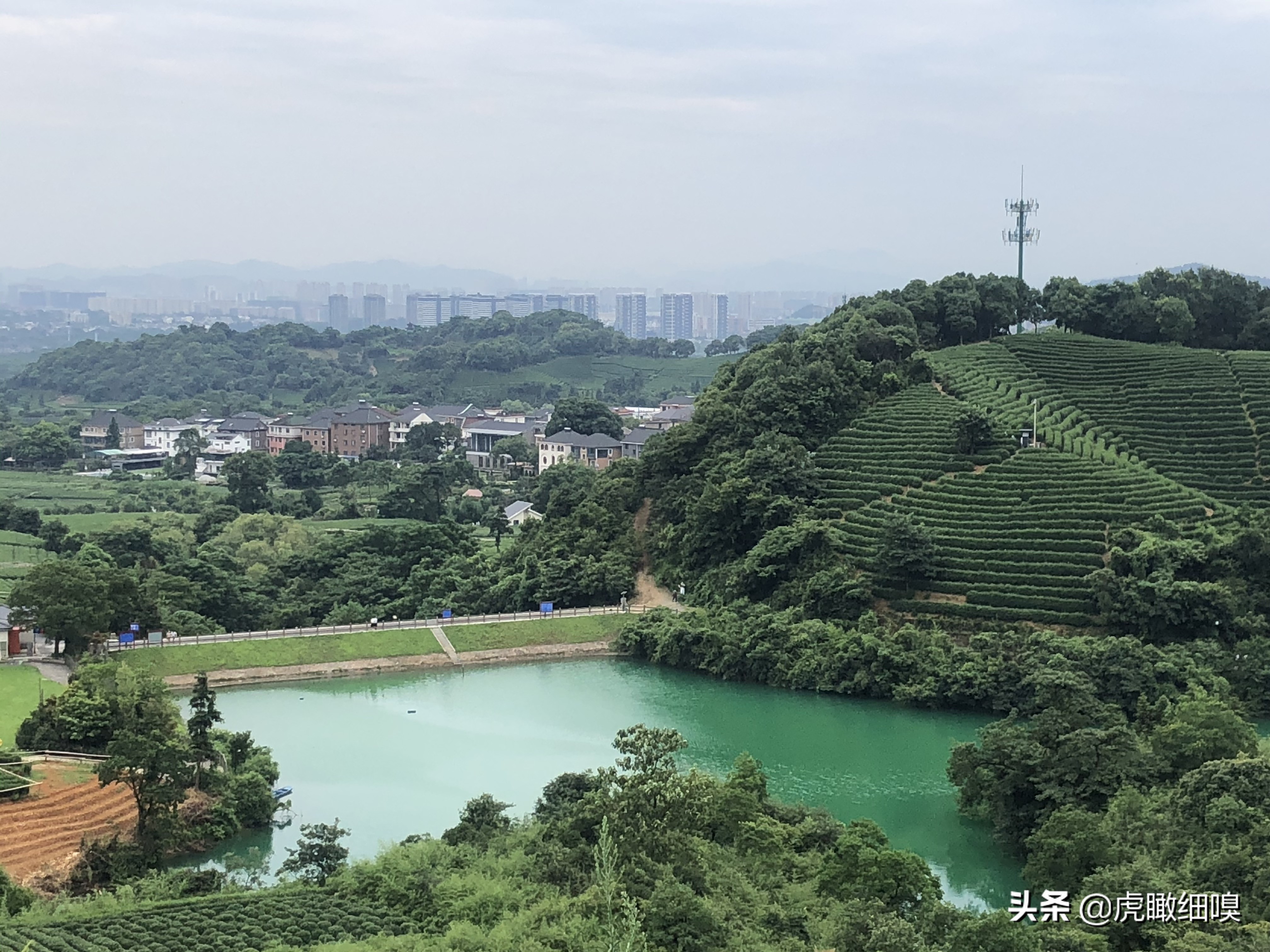 杭州十处产茶、喝茶、休闲好去处，你去过几处？