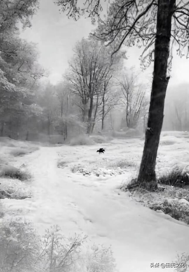 鐢版皬鏂囧寲缃戠粶骞冲彴,鐢版皬鏂囧寲浼犳壙骞冲彴