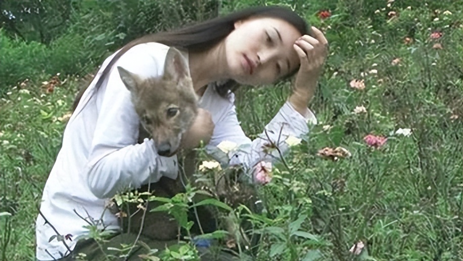 成都画家在草原写生收养狼的故事,成都女青年画家意外收养一只幼狼
