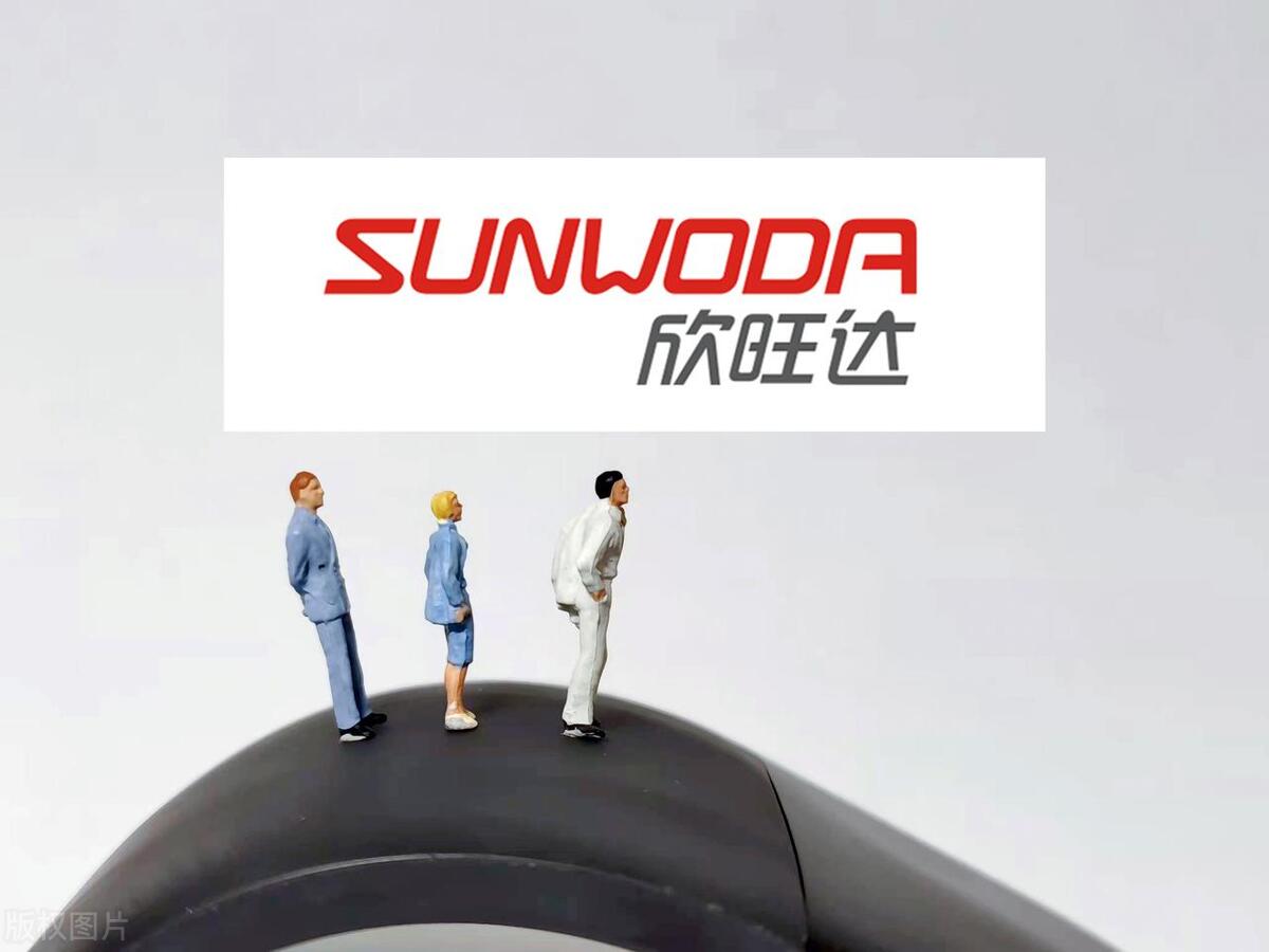 十大锂电池排名欣旺达,欣旺达锂电池目标价