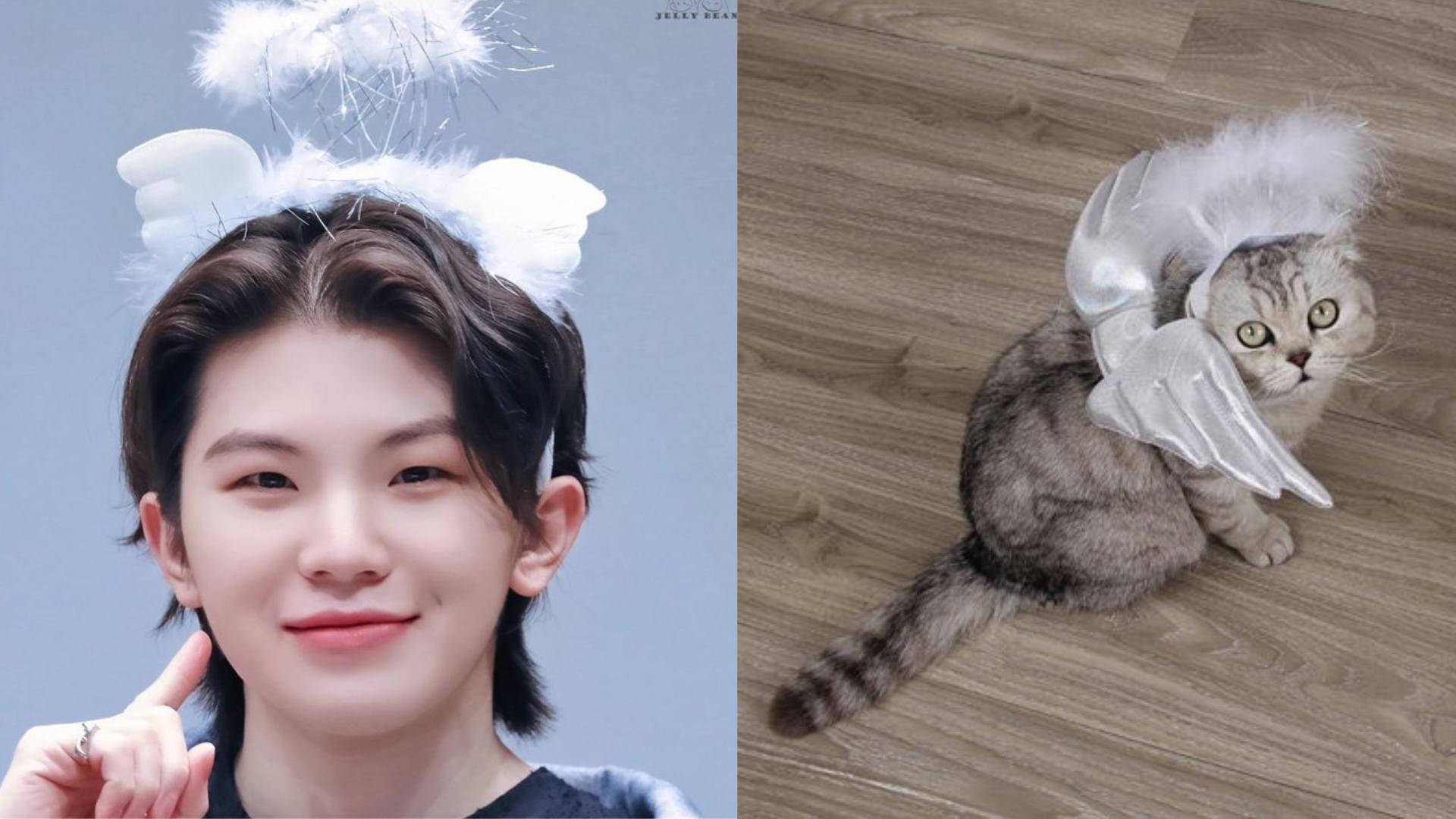 动物与人类的温暖瞬间片段,动物与人类的温暖瞬间照片