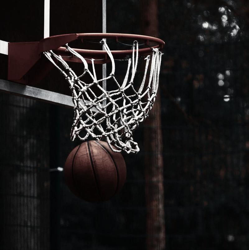 篮球体育必修课,篮球运球运动会项目