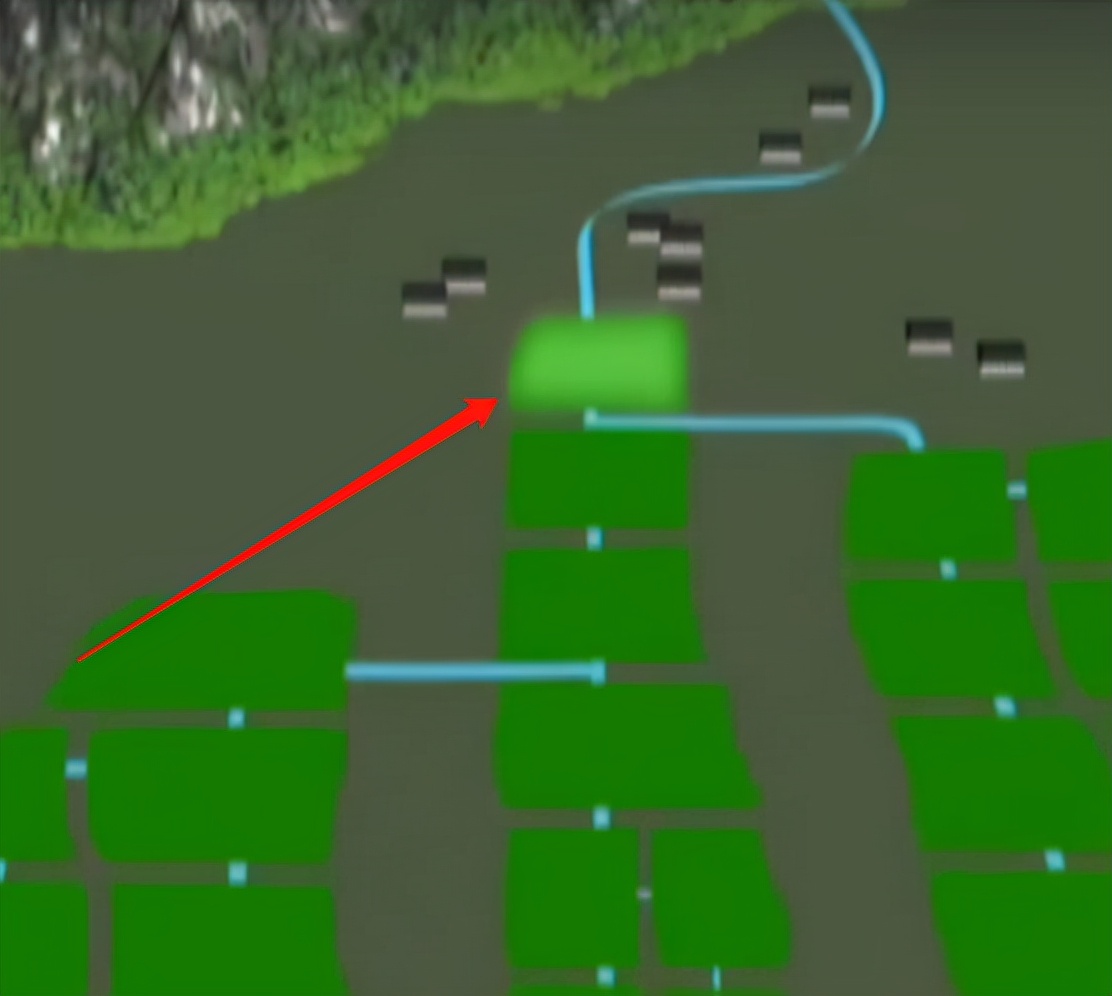 稻田惊现不明生物行动诡异,大山深处不明生物真相大揭秘