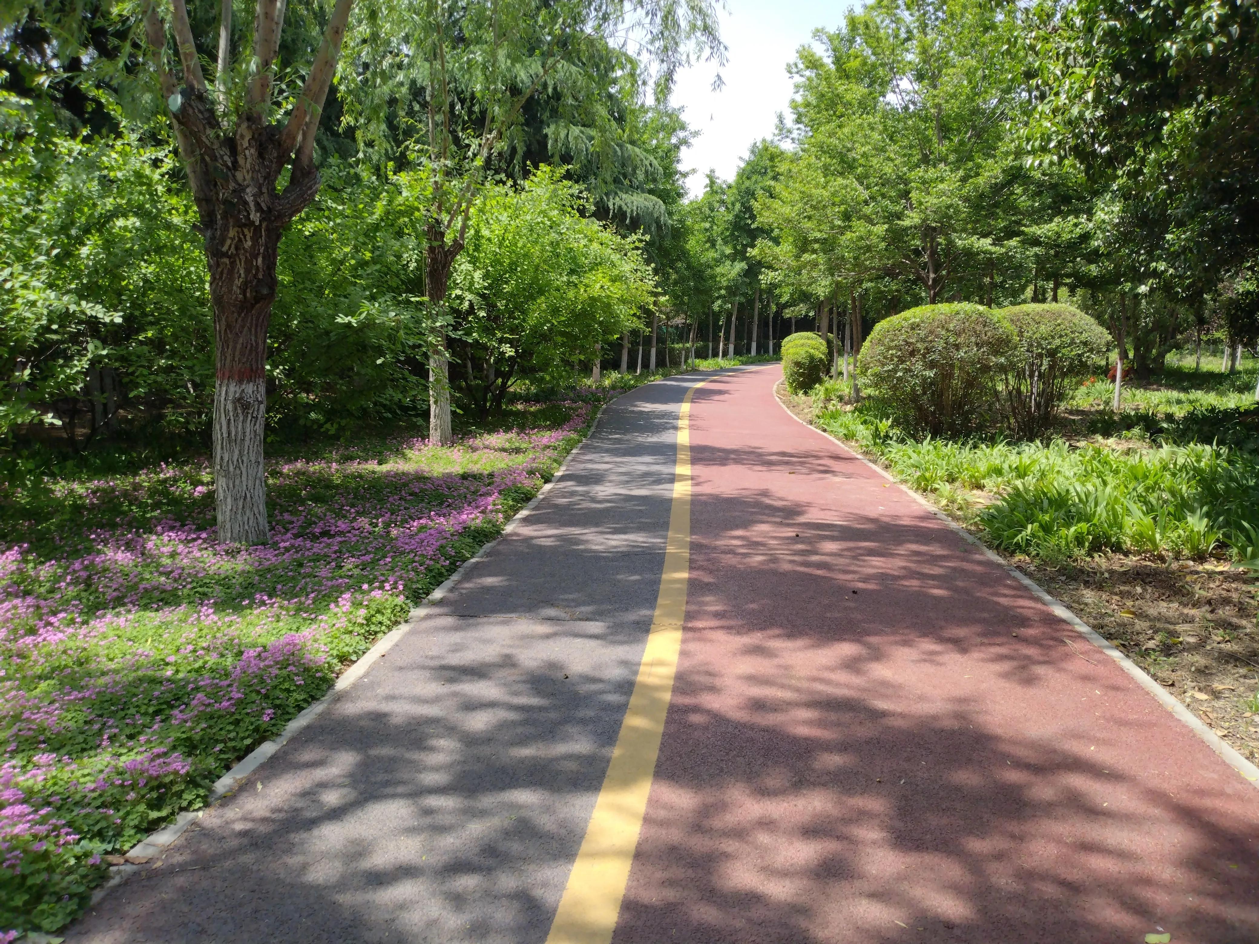 生活的颜色完整版,生活的颜色诗歌