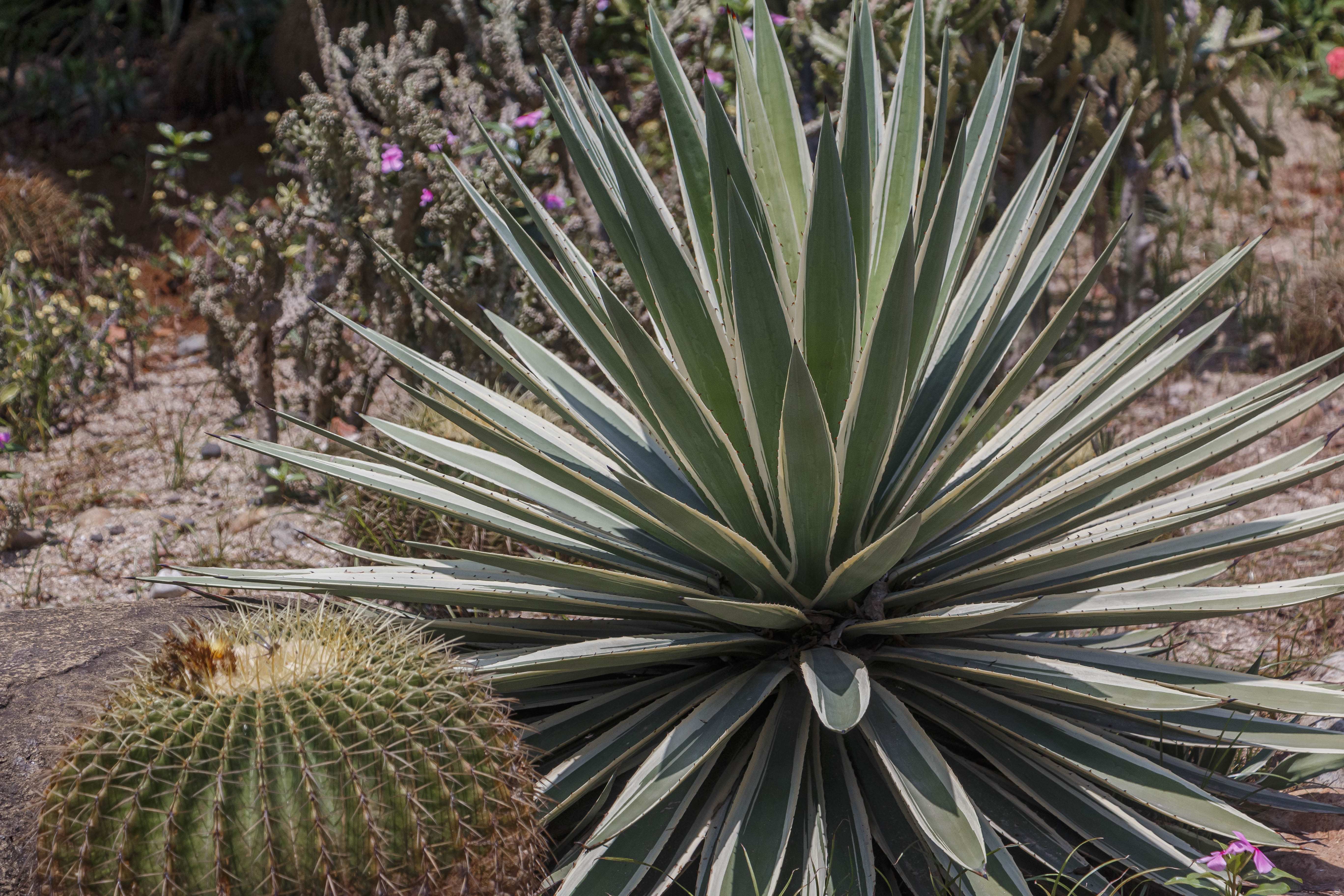 福建厦门最贵一晚的十大酒店,厦门最顶级的七星级酒店