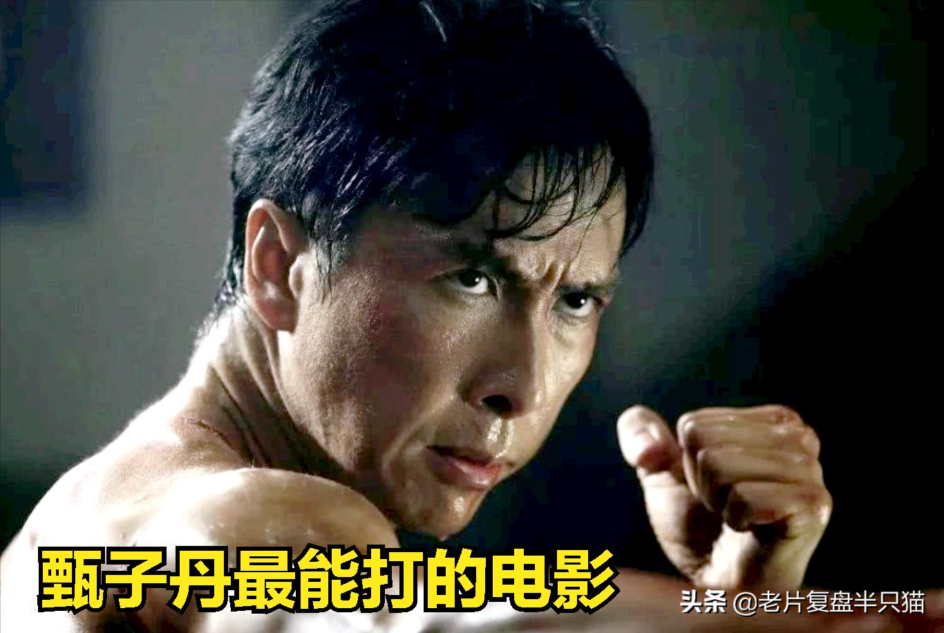 盘点影视中甄子丹的动作合集,推荐几部甄子丹最能打的动作电影