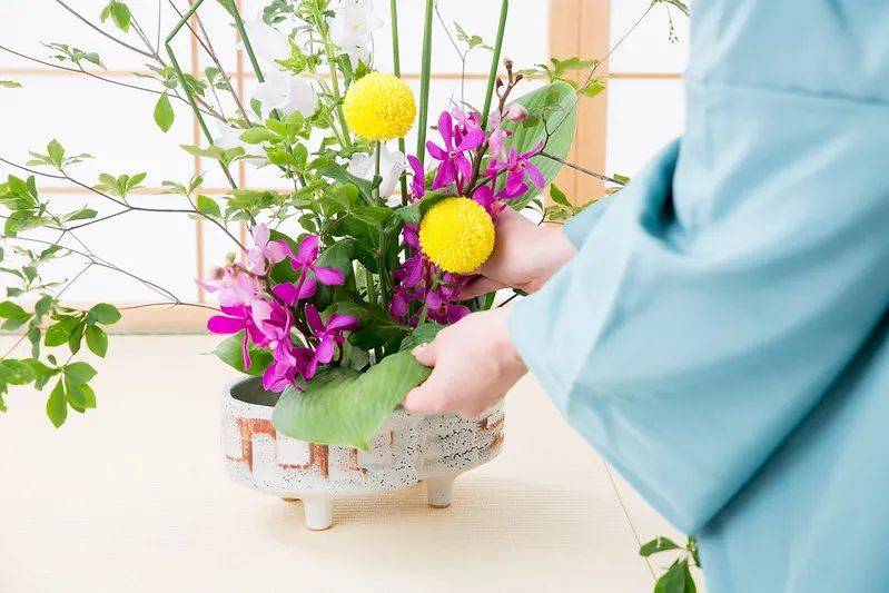 日式插花小原流花道,日式插花的13个基本技巧