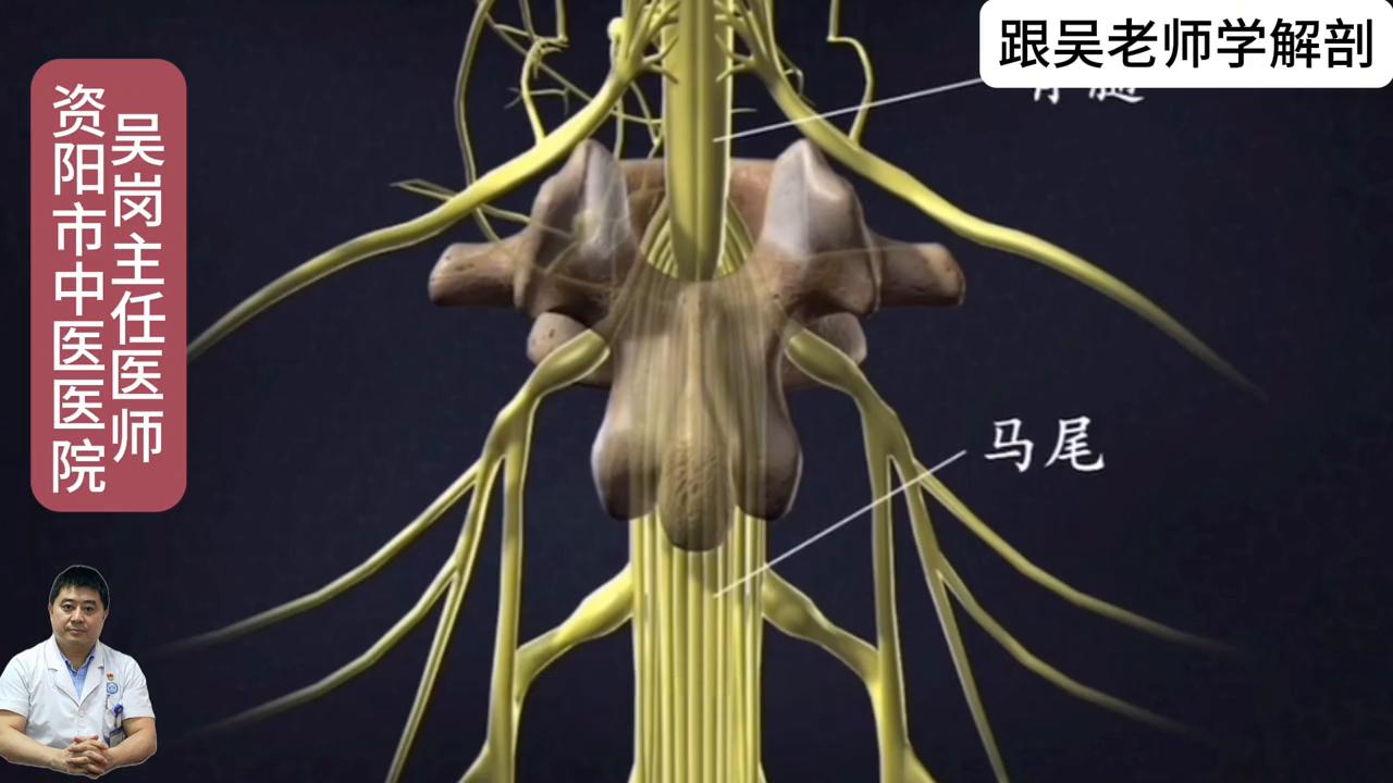 跟吴老师学习4年级上册第六页,跟吴老师学习视频