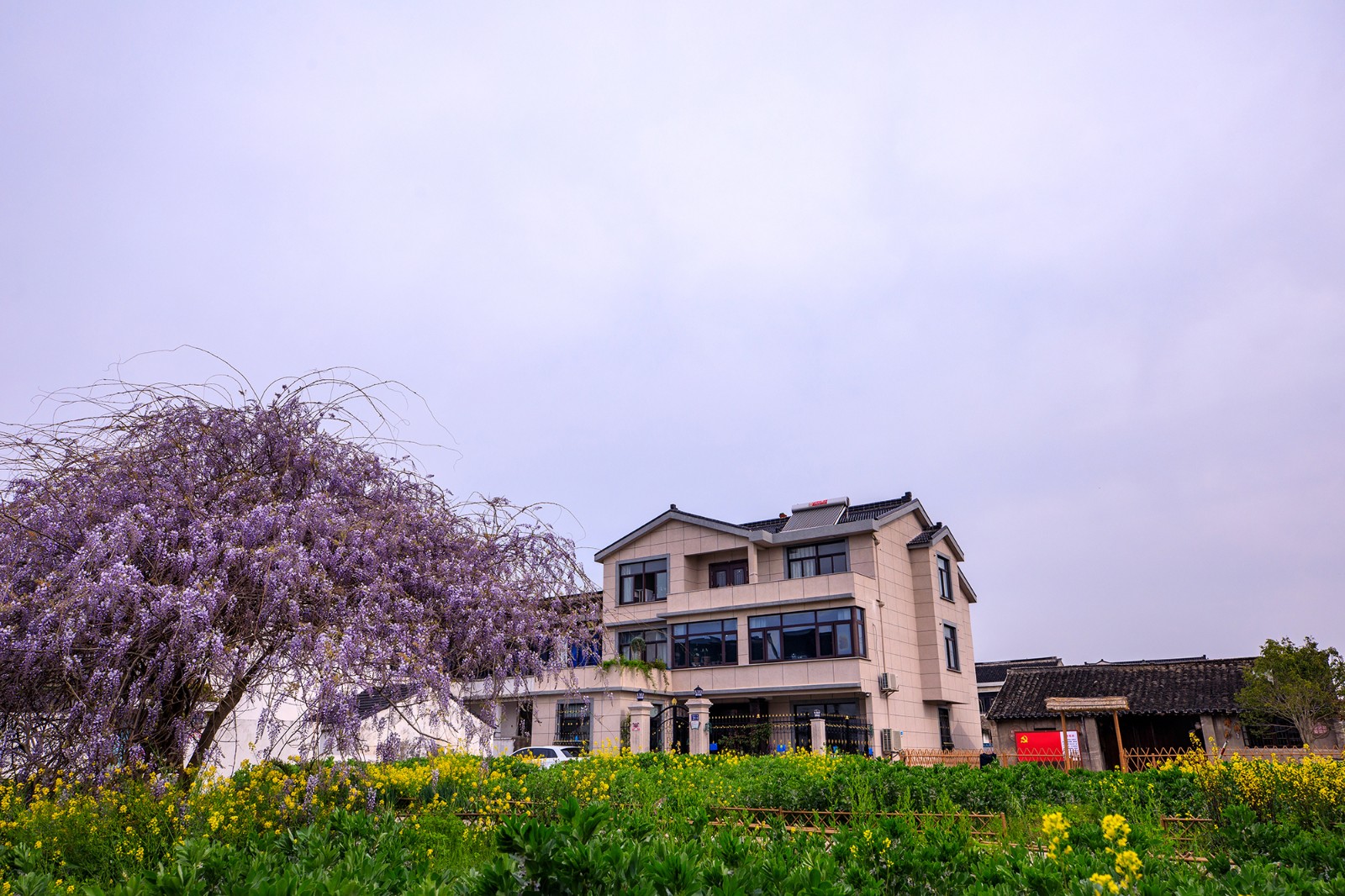 沙家浜景区诗句,沙家浜芦荡在什么地方