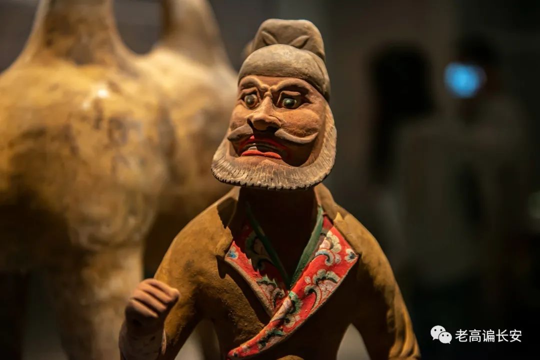 陕西考古博物馆几点放号,陕西考古博物馆门票预约