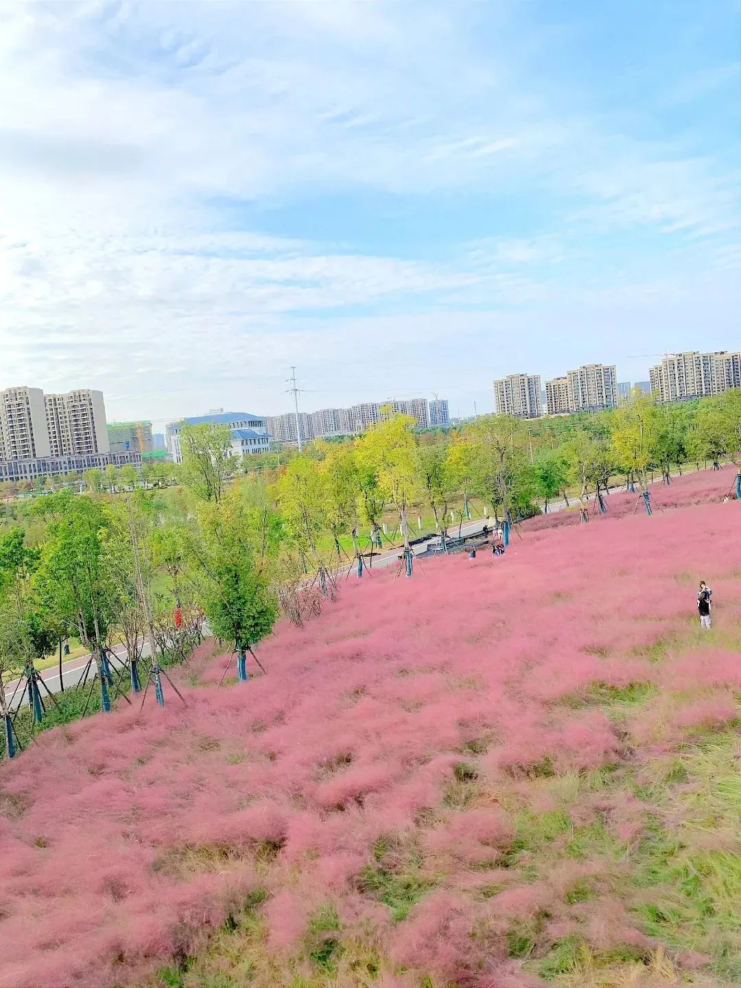 评选开启！快为新洲区的公园打call!