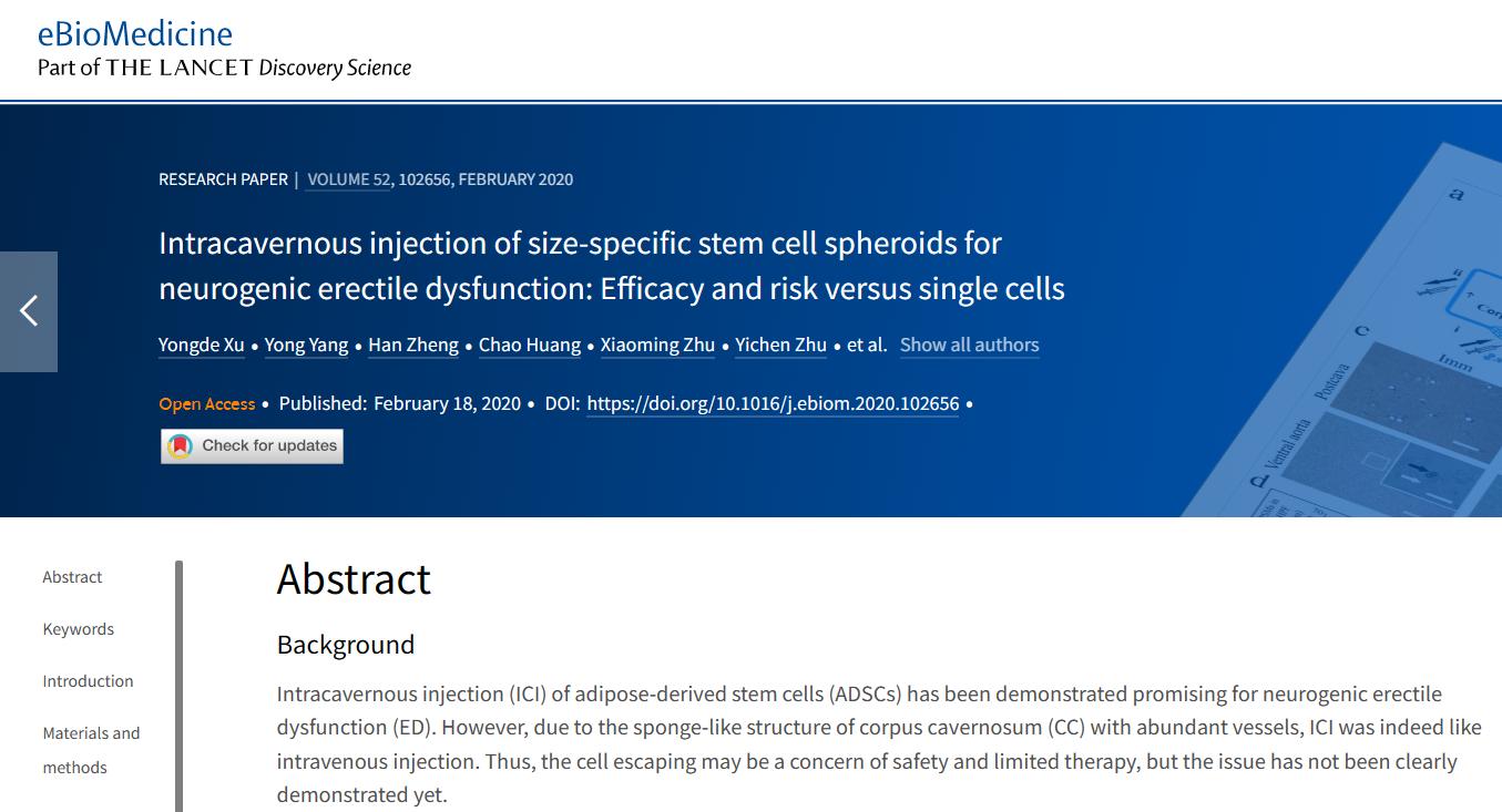 治疗阳痿的维生素,治疗阳痿缺哪种营养