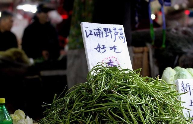 一颗老鼠屎坏了一锅粥的配图,一颗老鼠屎坏了一锅粥文字图片
