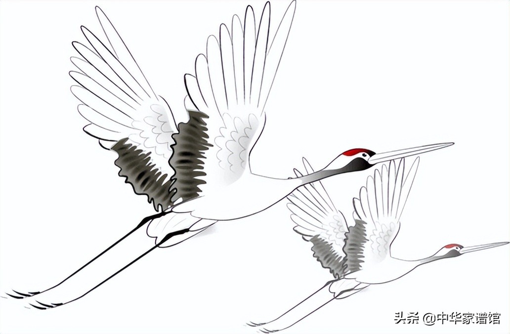 如何找自己的族谱,六个方法找到自家家谱