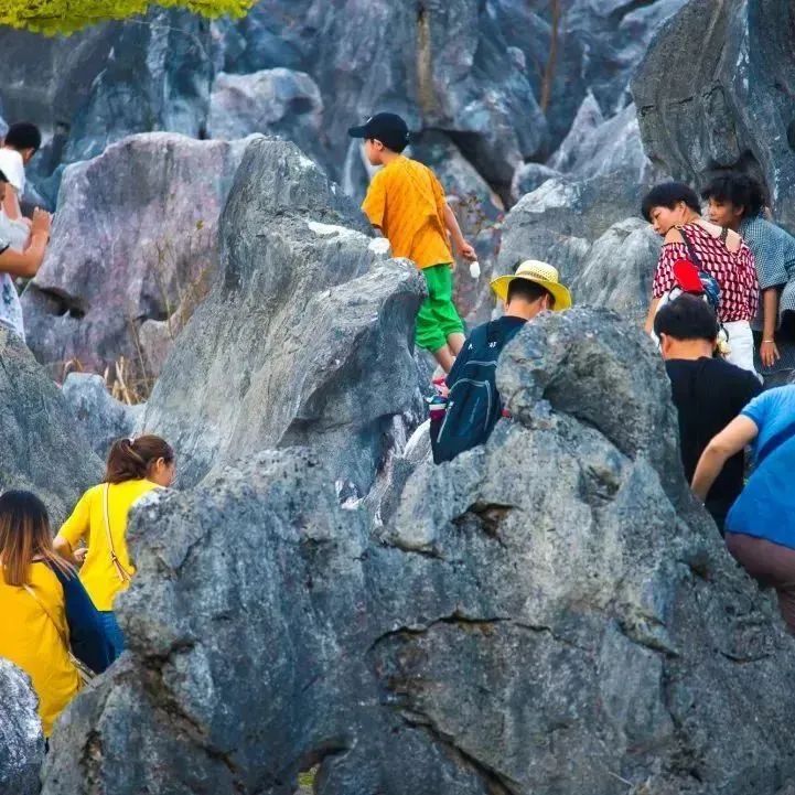 六一带娃去哪玩这个地方别错过,六一带孩子出游推荐