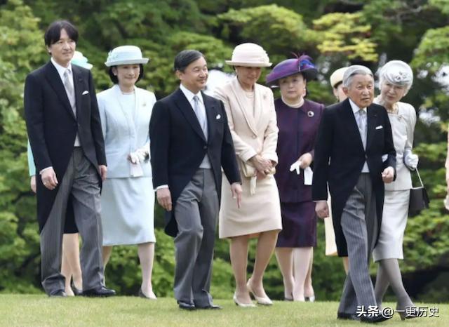 鏃ユ湰鐨囧鍑嬮浂鍘熷洜,鏃ユ湰鐜嬪鐢蜂竵鍗辨満