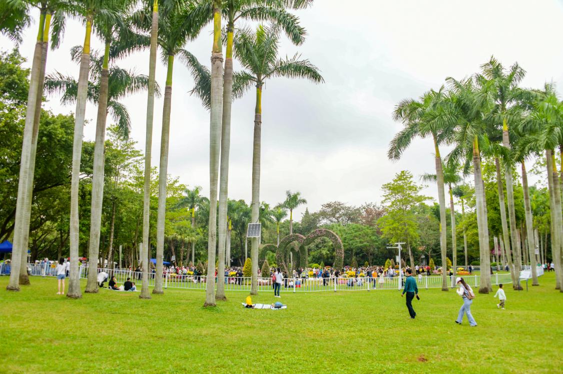 深圳东湖公园冬天游玩攻略,东湖公园打卡景点