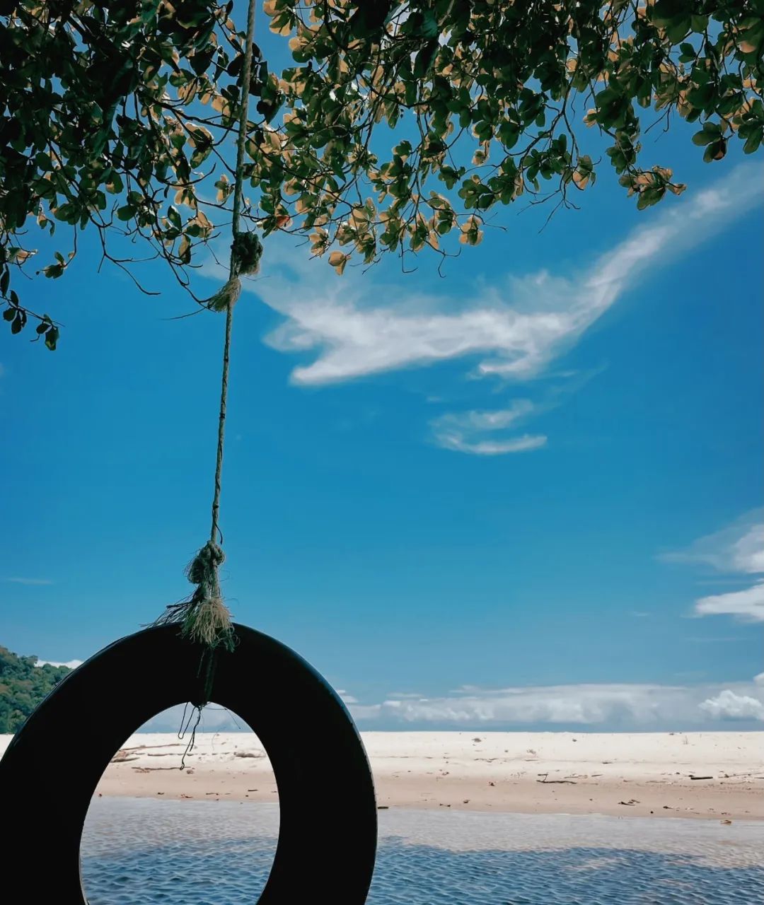 中专毕业找工作,中专毕业考博士