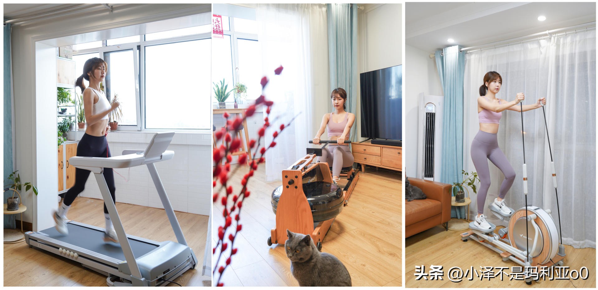 家用减脂健身器械推荐,燃脂健身器材怎么选