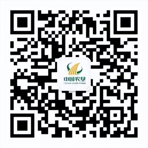 大明山有机绿茶,弱水三千只取一杯茶