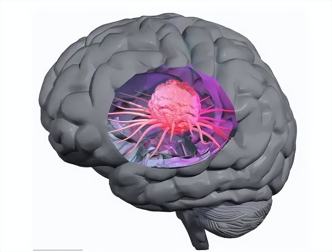 湖北大叔鱼肚中发现“黑黄金”，一条鱼卖600万！三年赚两亿