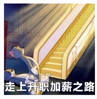 职场冒险之选：大厂vs创业公司，校园招聘新趋势引领你的职业之选