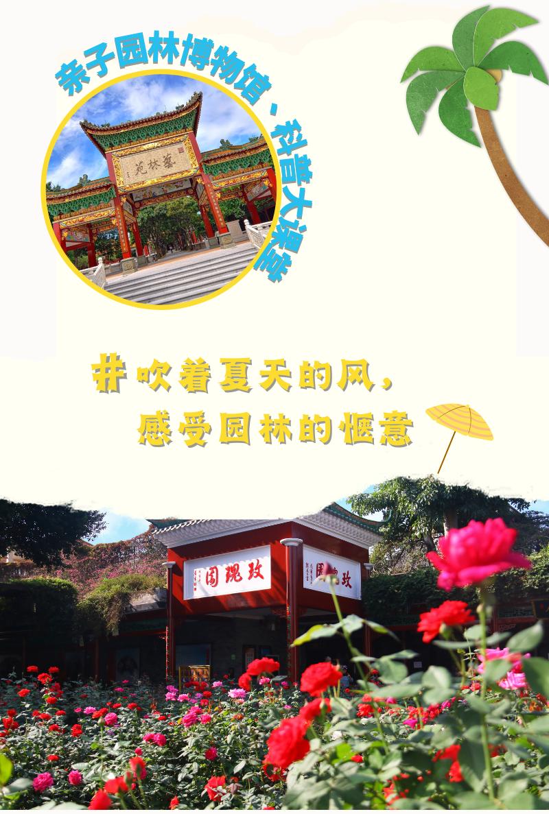 盛夏赴一场荷香之约,与夏天来场清凉的约会