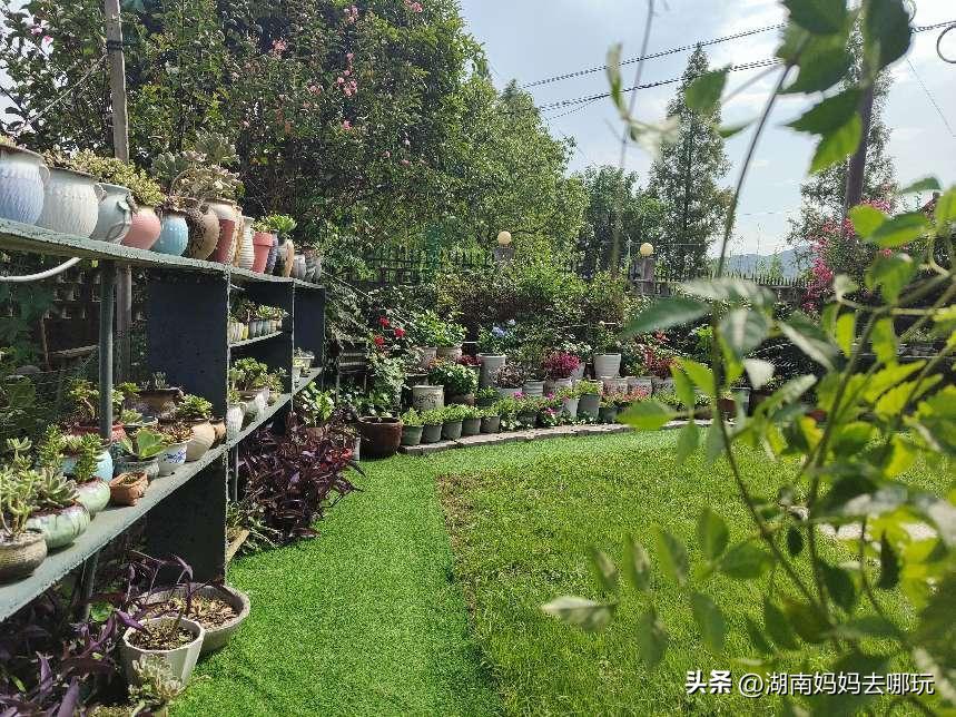 长沙近郊一日自驾游攻略,长沙大观园旅游攻略