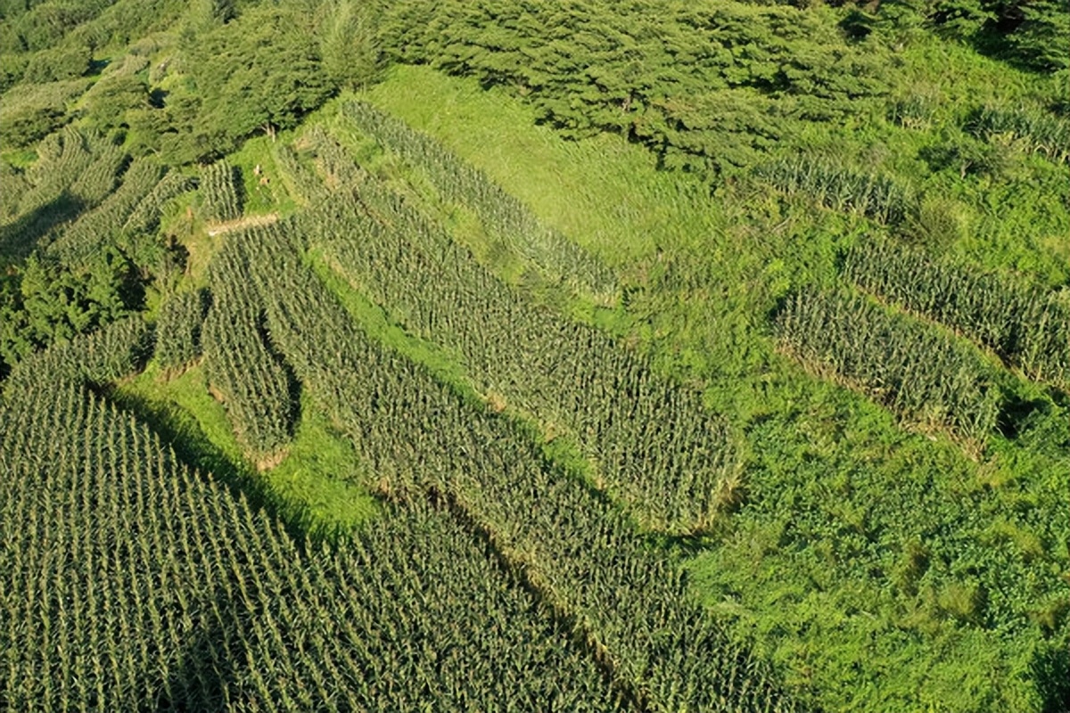 营口温泉之乡,辽宁省营口温泉排名
