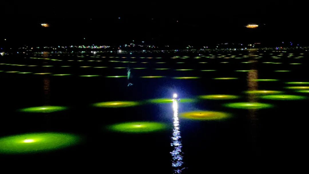 七夕|程海是夜晚的梦