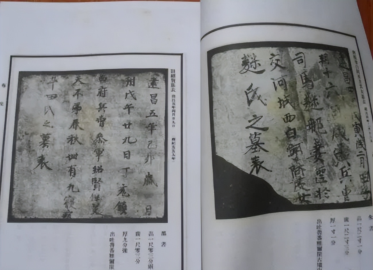 阐述新疆自古属于中国的史实,为什么说西域自古以来是中国领土