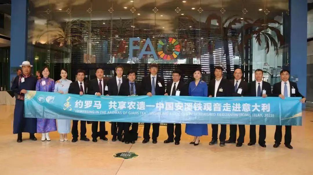 安溪古道铁观音,安溪隽山堂铁观音