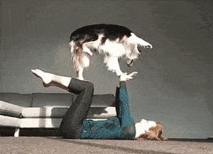 狗狗拿你当妈妈的7种表现,如果狗狗把你当成父母有几种表现