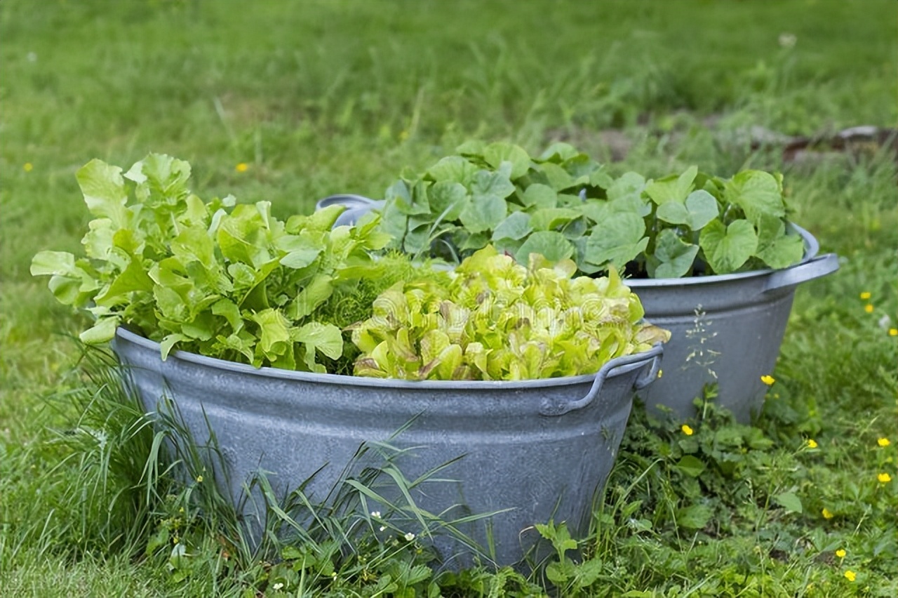 身体衰老,脚先知!老年人脚部常出现这3种健康问题,尽早预防