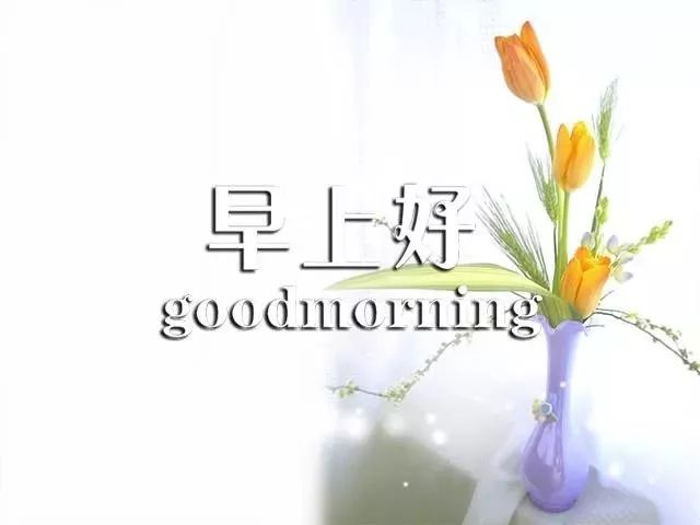 早安带字周三早上好祝福语图片,周四早上好祝福语图片最新的